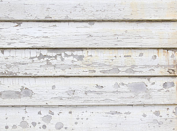 Trusted Lakeland Highlands, FL Junk Removal Experts